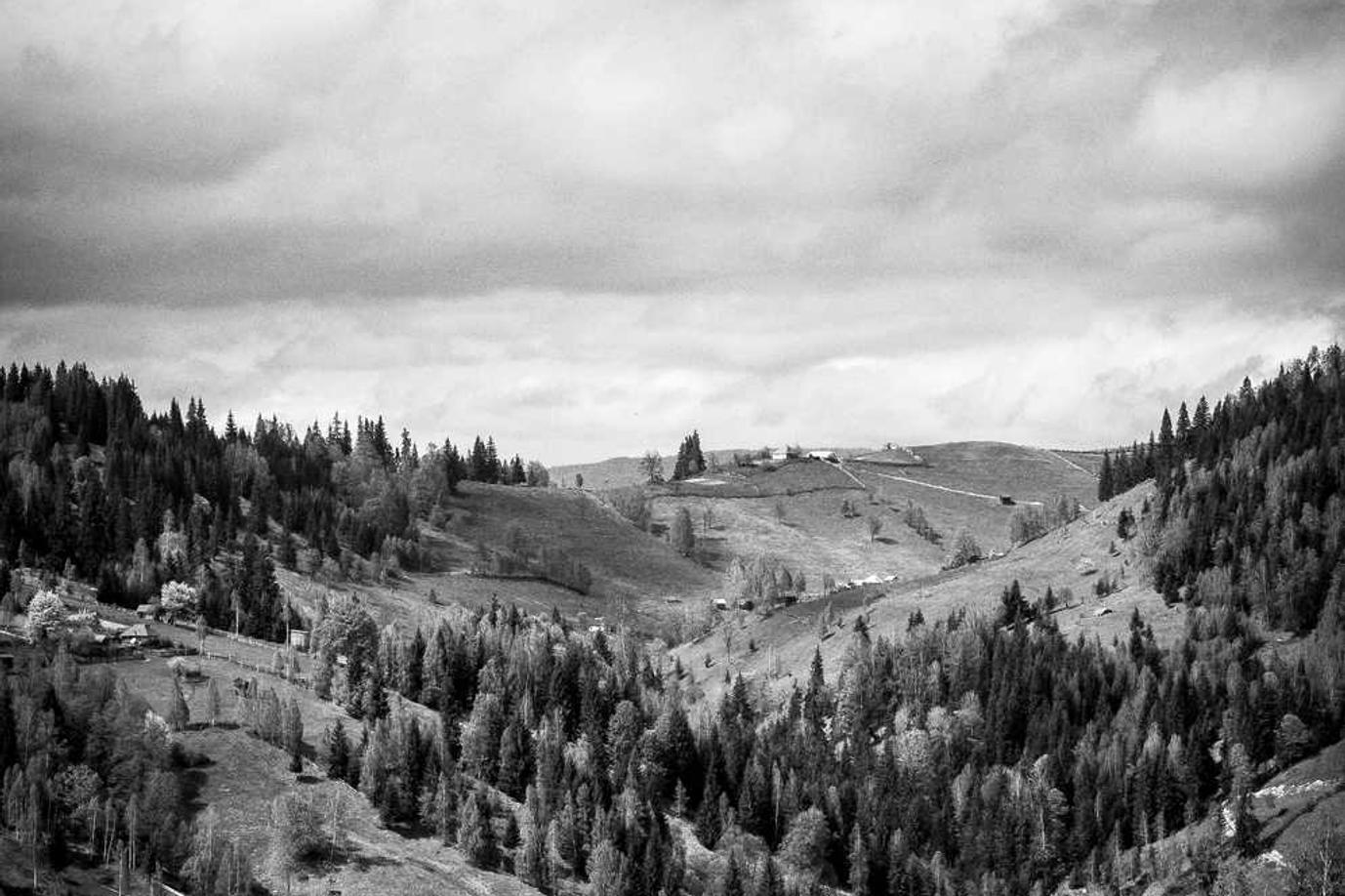 Officiis ut repellat